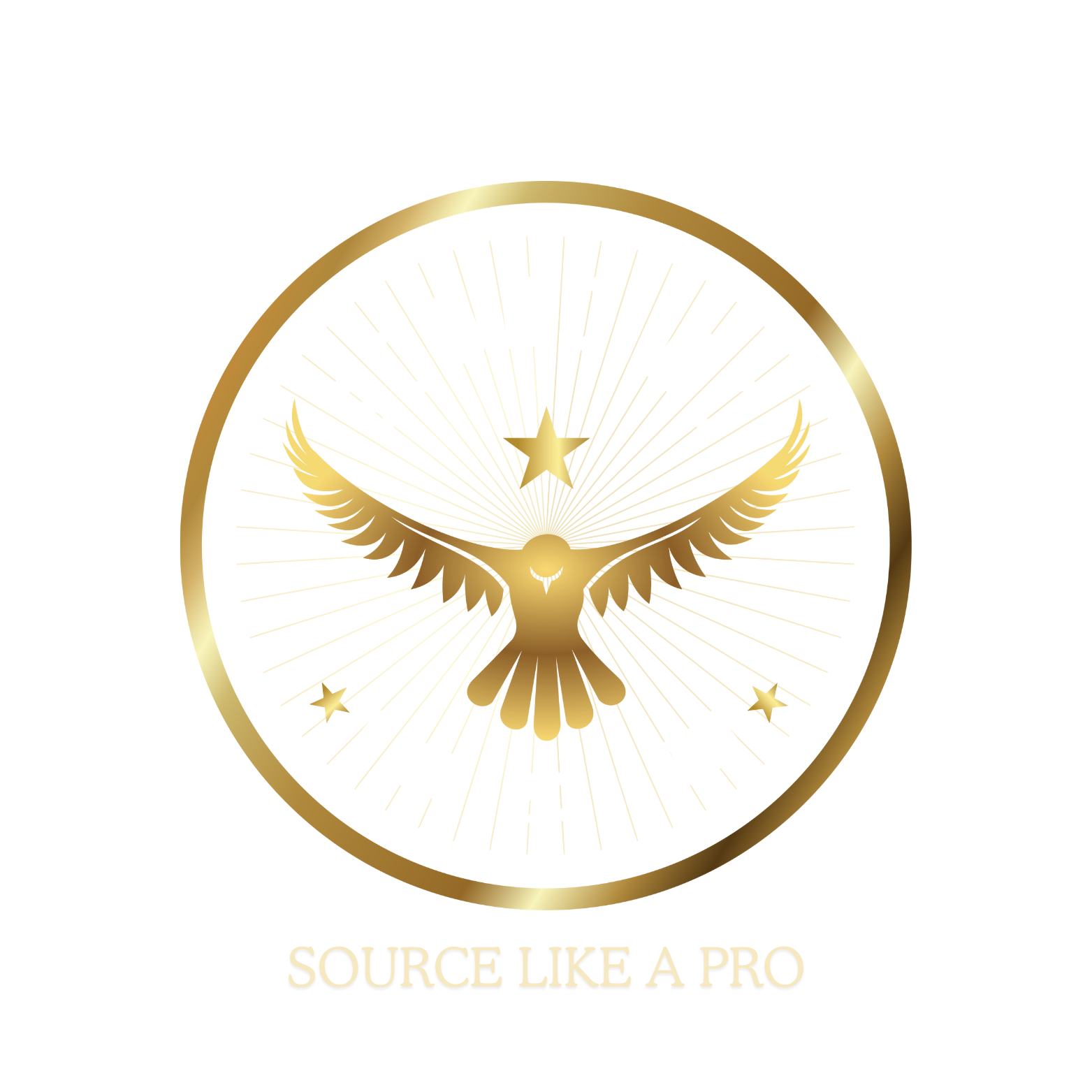 Sourcing pro 123 Logo